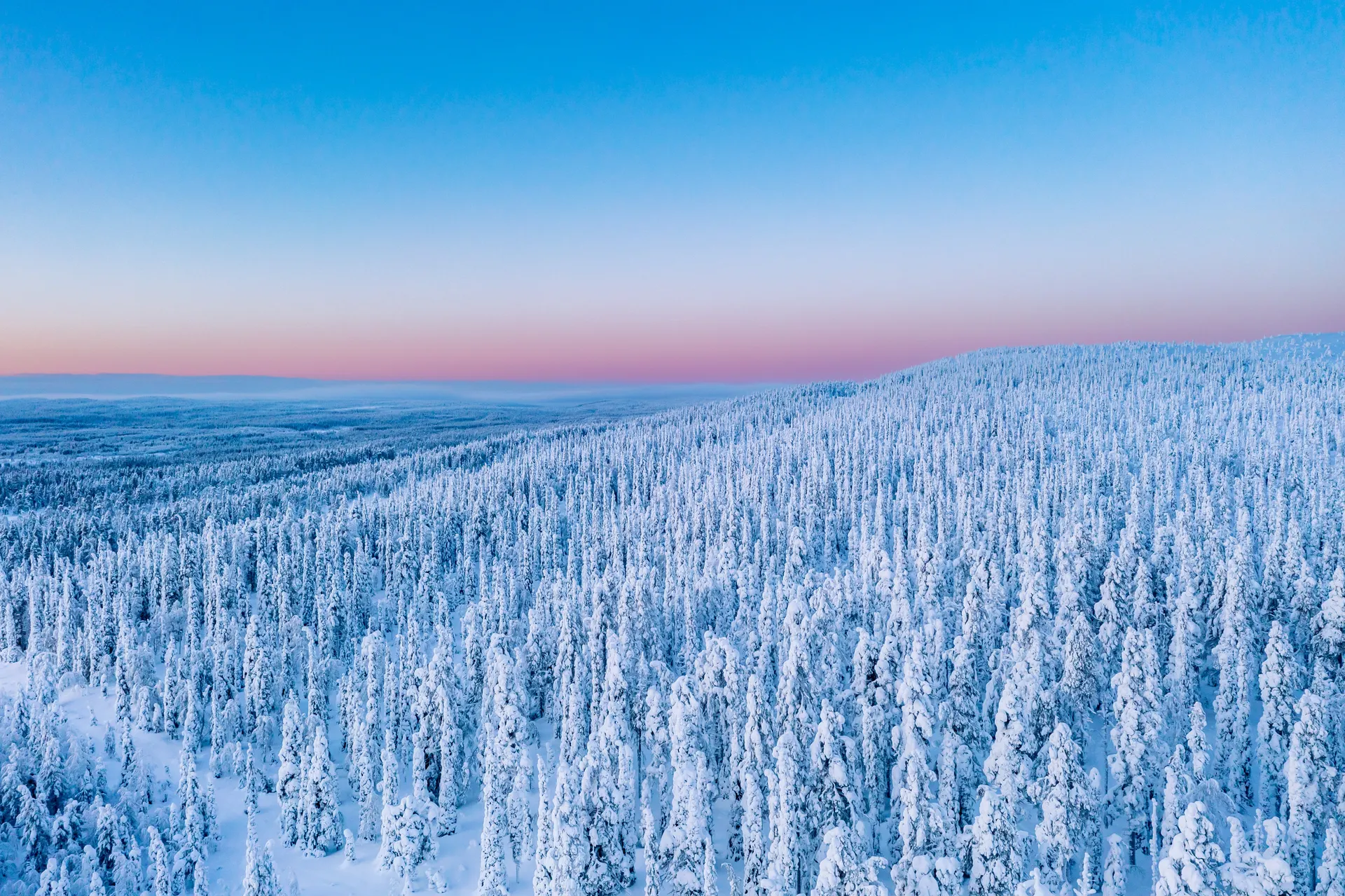 &Olives FInland Landschap+Zonsopkomst
