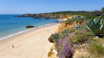 Strand Praia Vau, Algarve, Portugal, strand, zee, groene heuvels, paarse bloemen