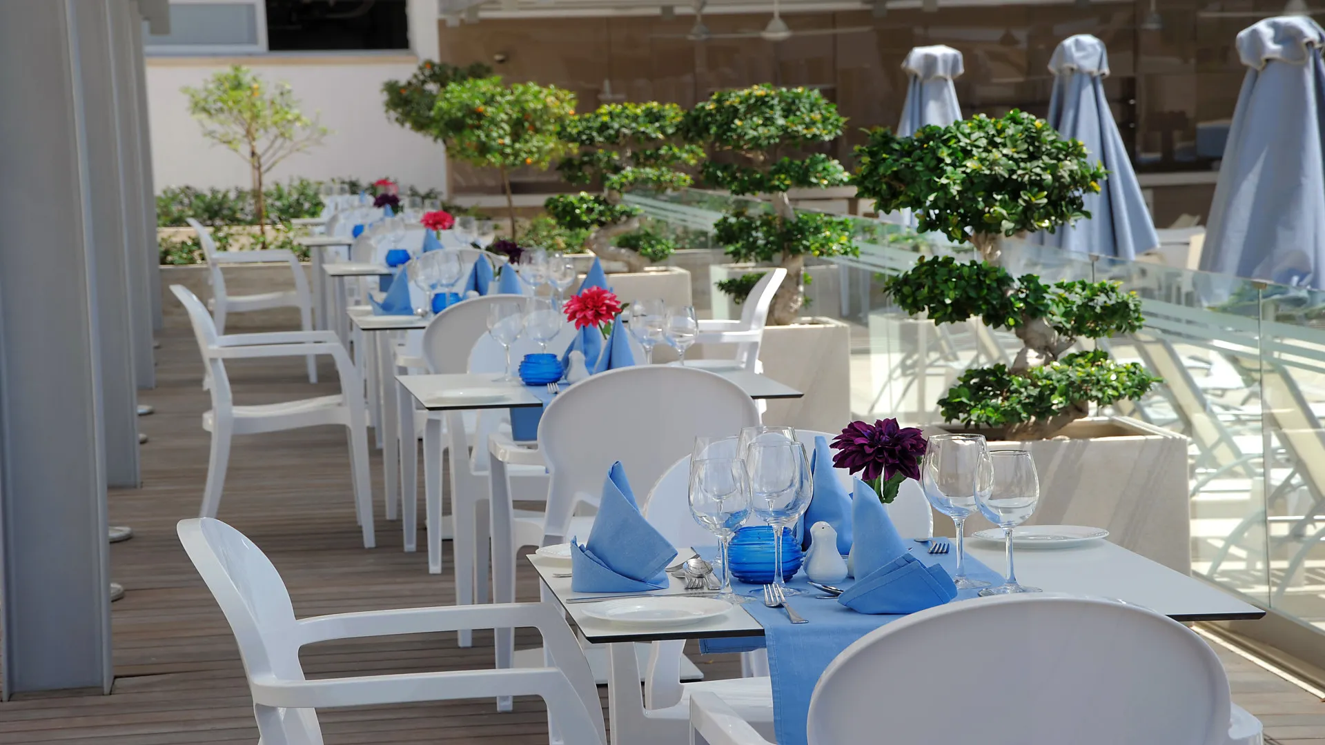 Terras à la carte restaurant Thetis, hotel Nestor, Ayia Napa, Cyprus