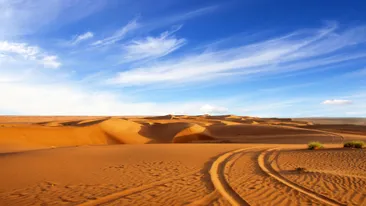 Rondreis Oman zandwoestijn Wahiba