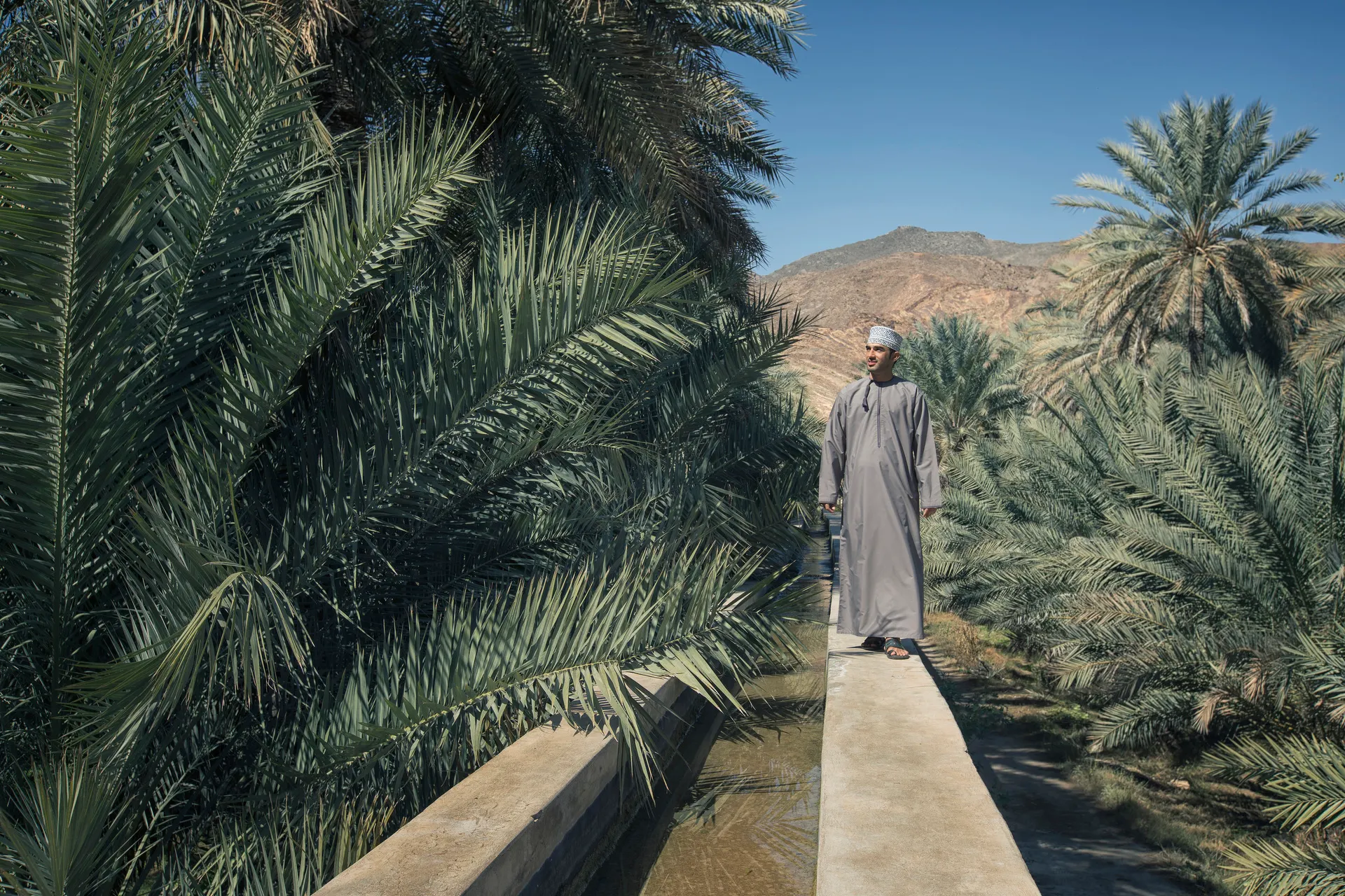 Omani bij falaj, irrigatiesysteem, Birkat Al Mauz, Oman