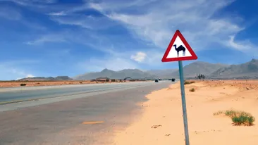 Verkeersbord 'Pas op overstekende kamelen', Jordanië