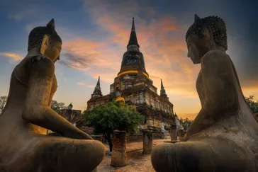&Olives-Thailand-Ayutthaya Wat Yai Chaimongkol