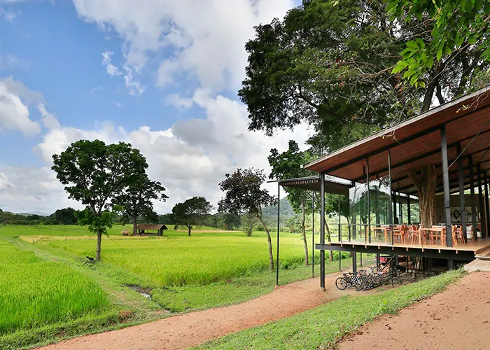 Sri Lanka-Dambulla-Kalundewa Resort