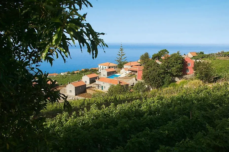 Quinta das Vinhas.
