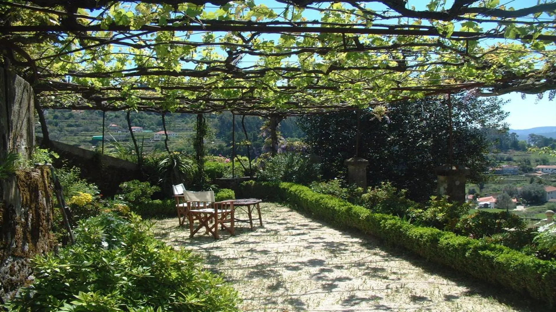 Terras onder wijnranken, Noord Portugal