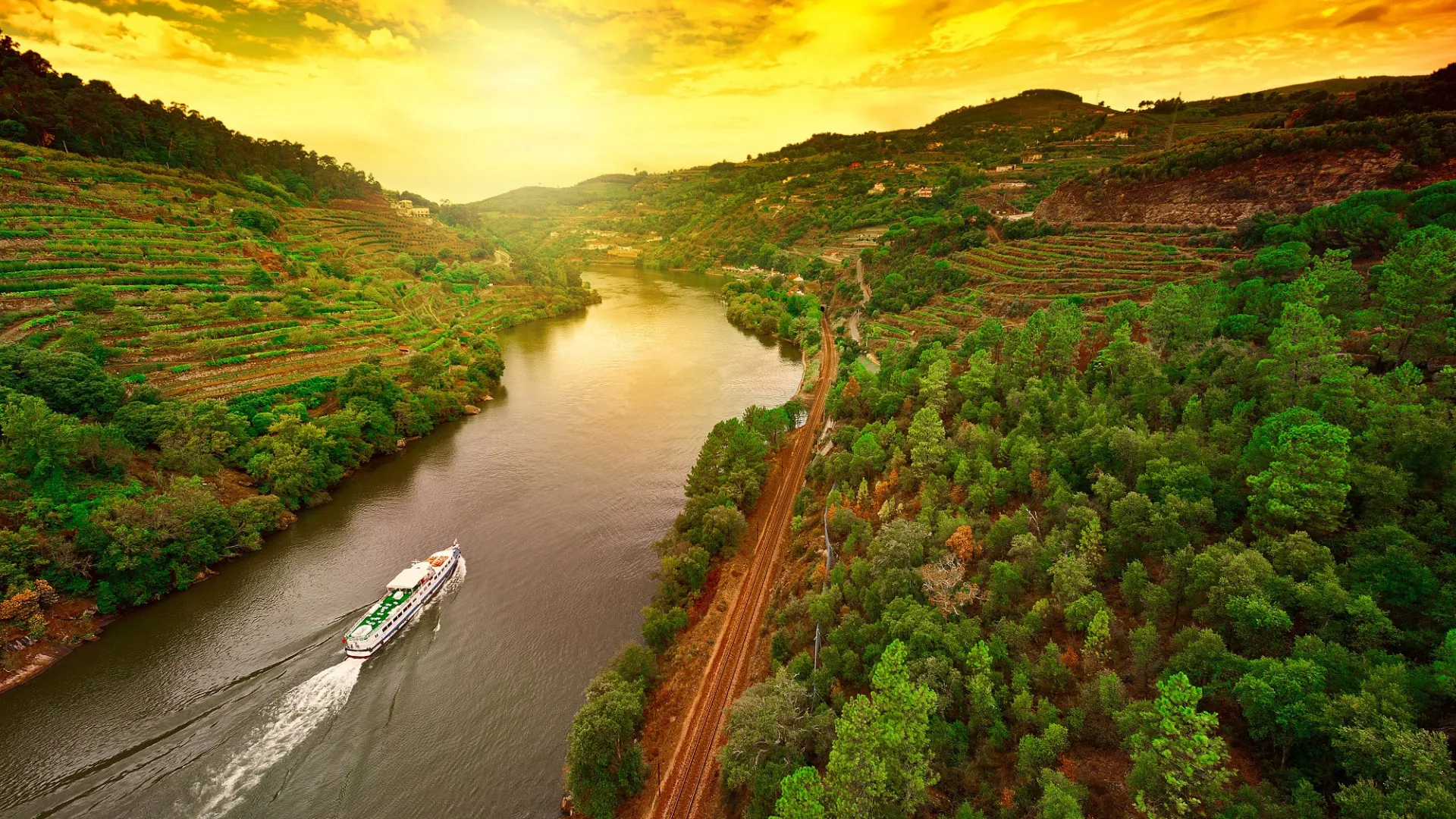 Wijngaarden aan de rivier de Douro in Portugal