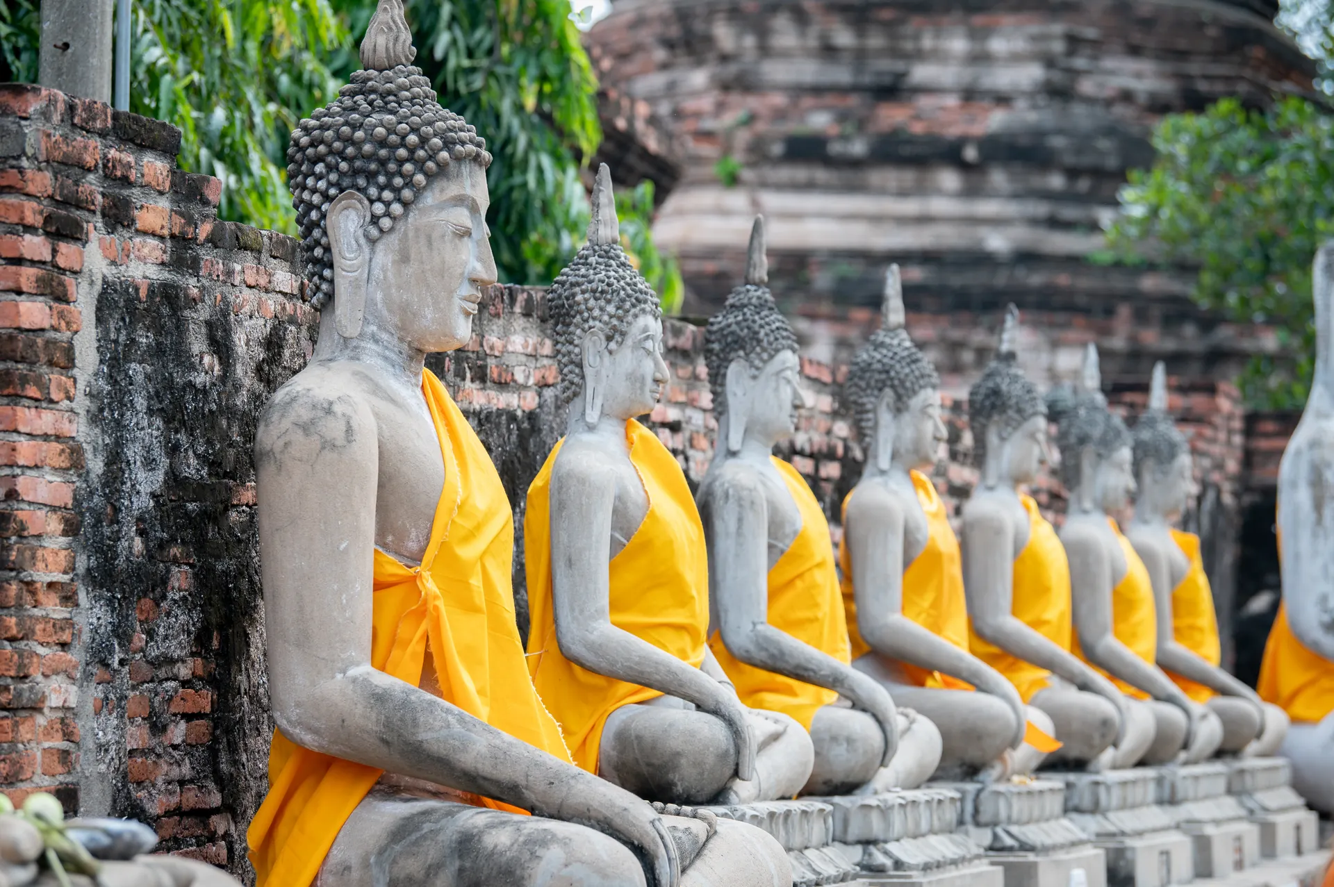 &Olives Thailand Ayutthaya Historical Park
