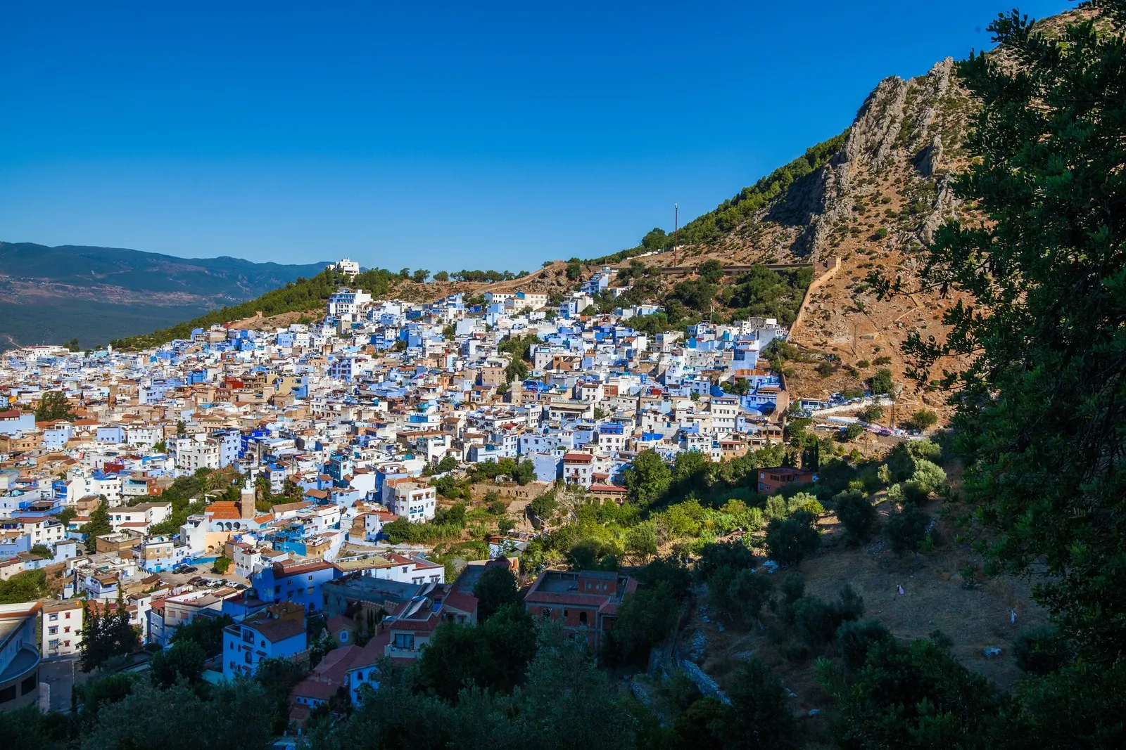 &Olives Morocco Chefchaouen, de Blauwe Parel