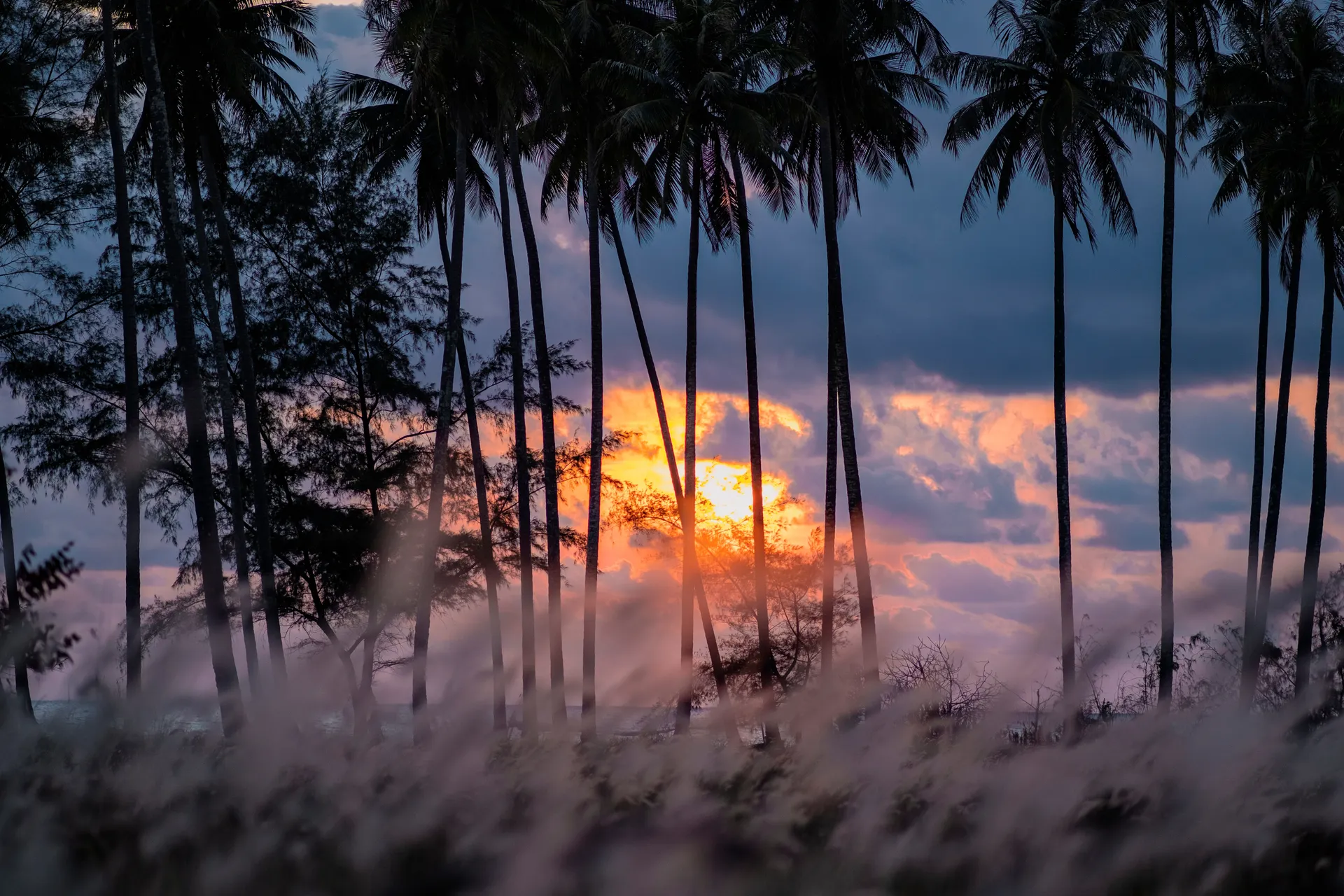 &Olives Cambodja Koh Kong bij zonsondergang