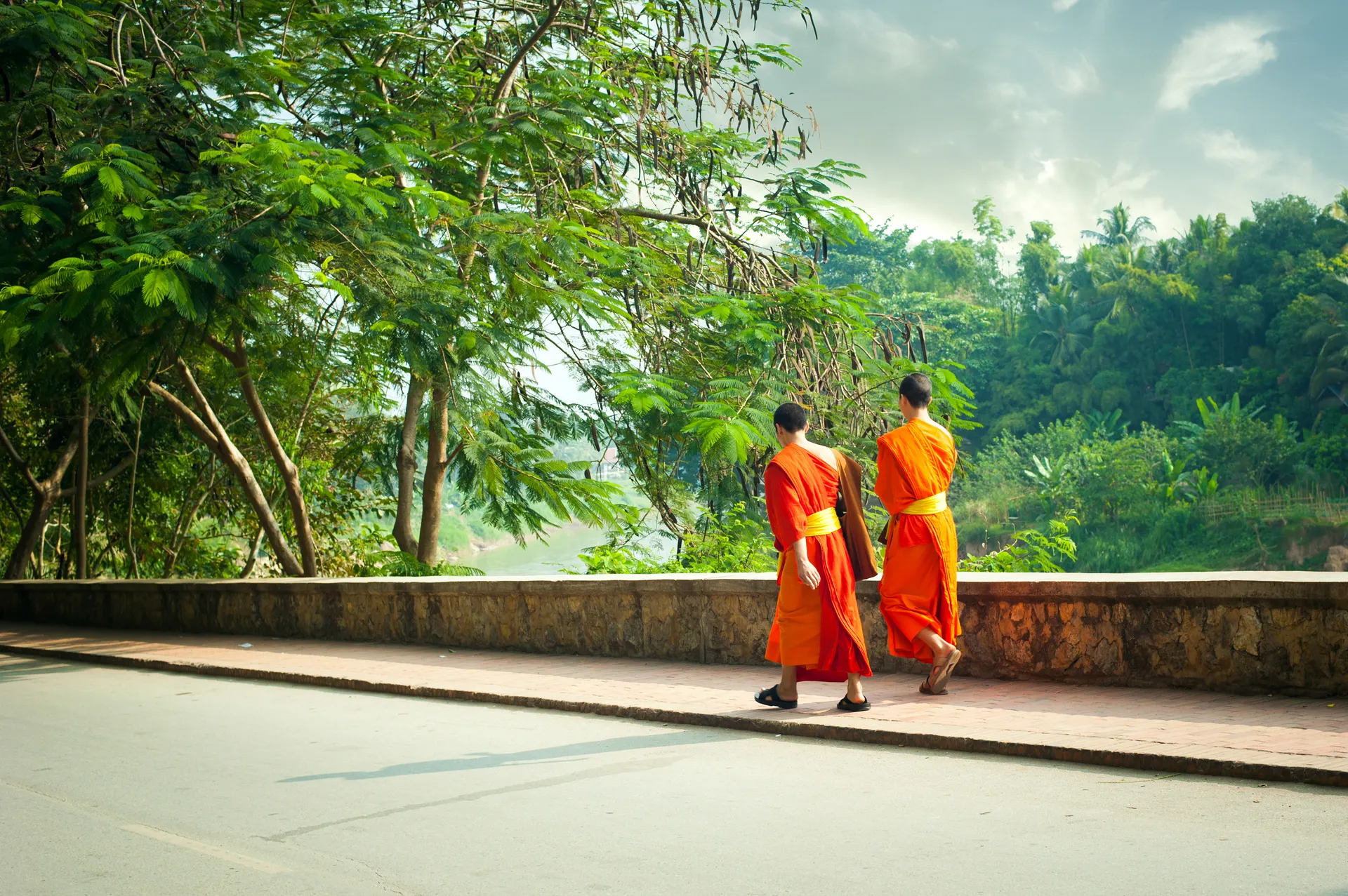 &Olives-Laos-Luang Prabang-Buddhist Monks-