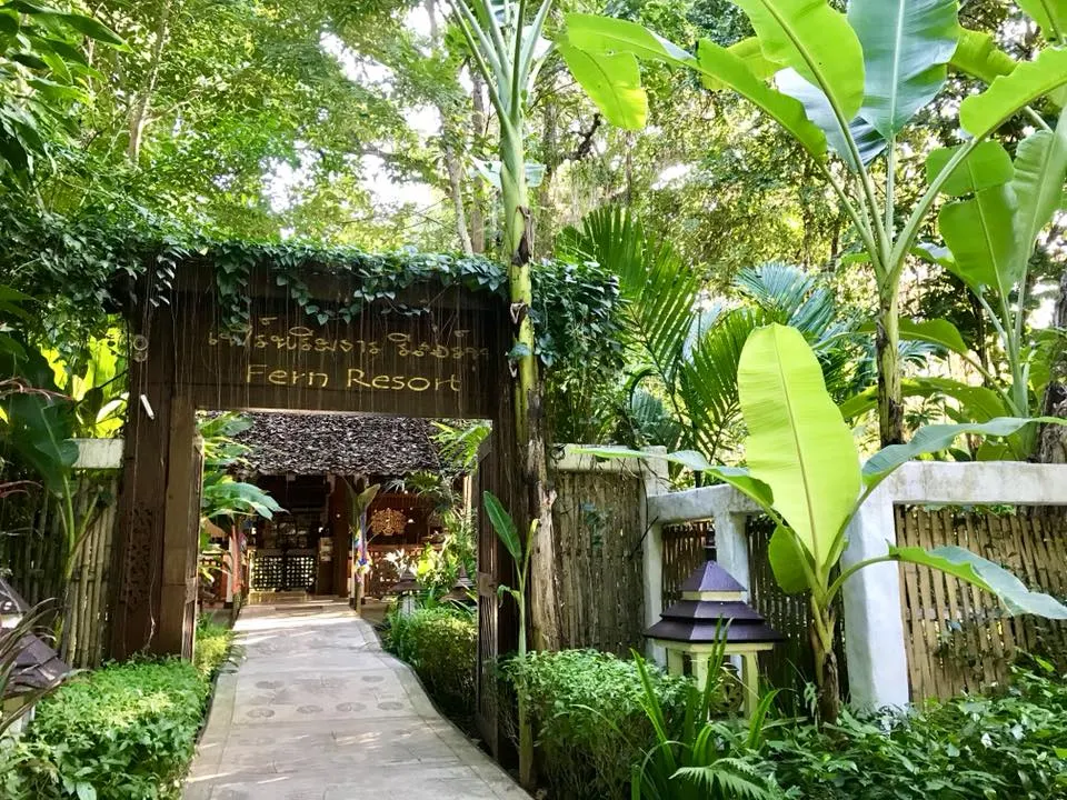 AndOlives-Thailand-Mae-Hong-Son-entree