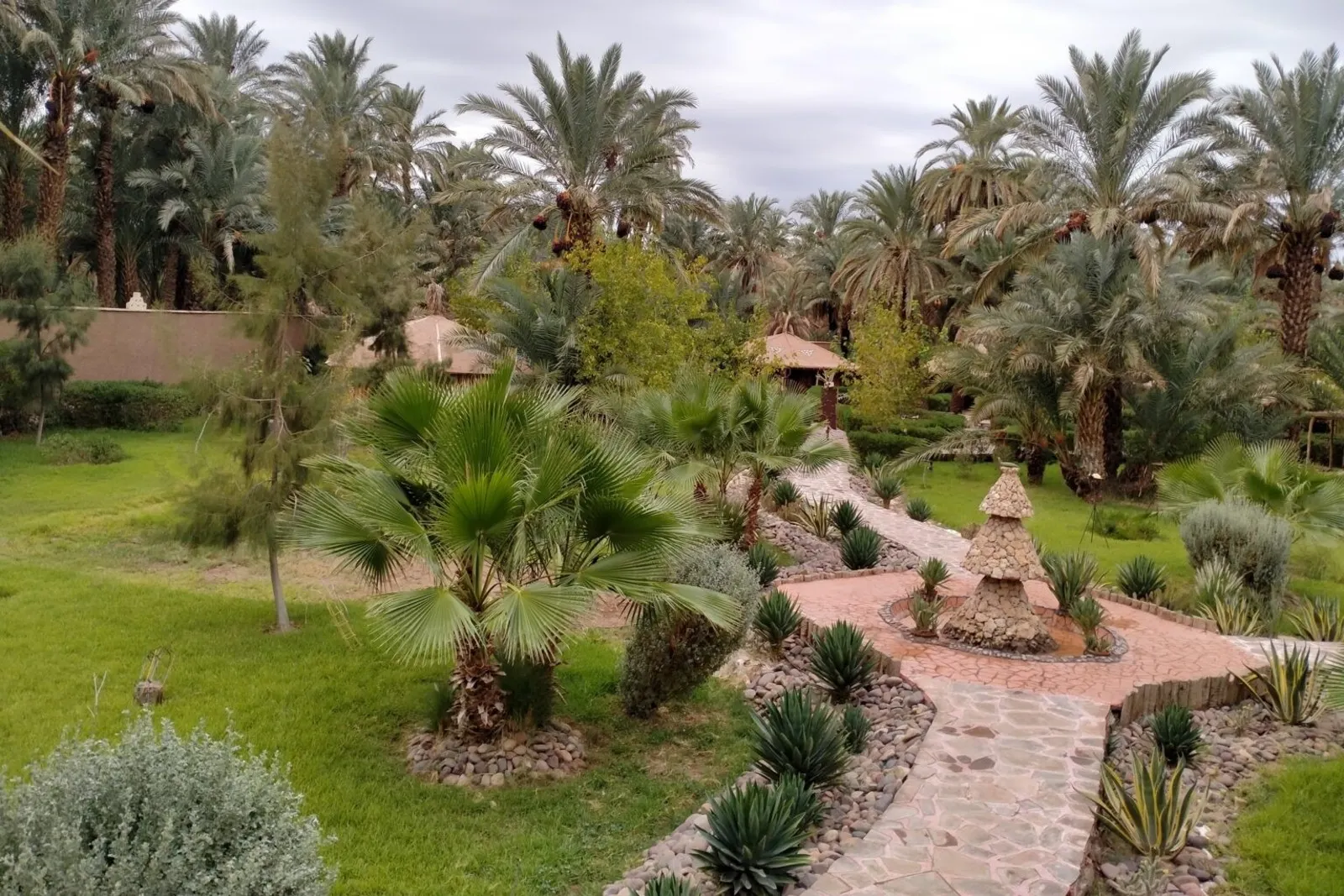 AndOlives-Marokko-Zagora-Lamane-Tuin