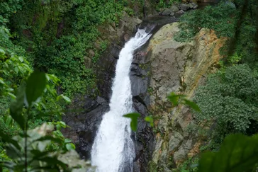 &Olives Costa Rica Bijagua Water in the Jungle