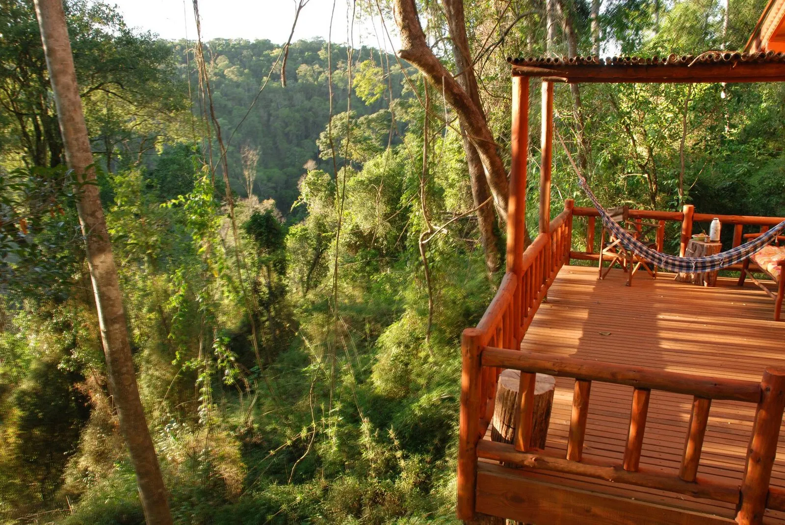 Tacuapi Lodge - vista terraza a la selva