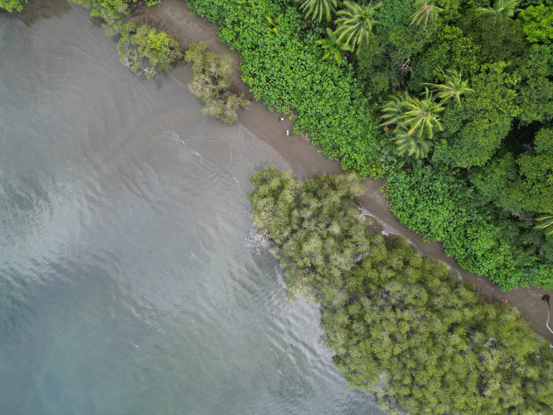 &Olives Costa Rica Playa Golfo Dulce