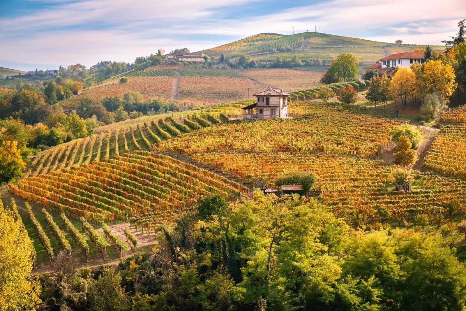 Landschap - Piemonte