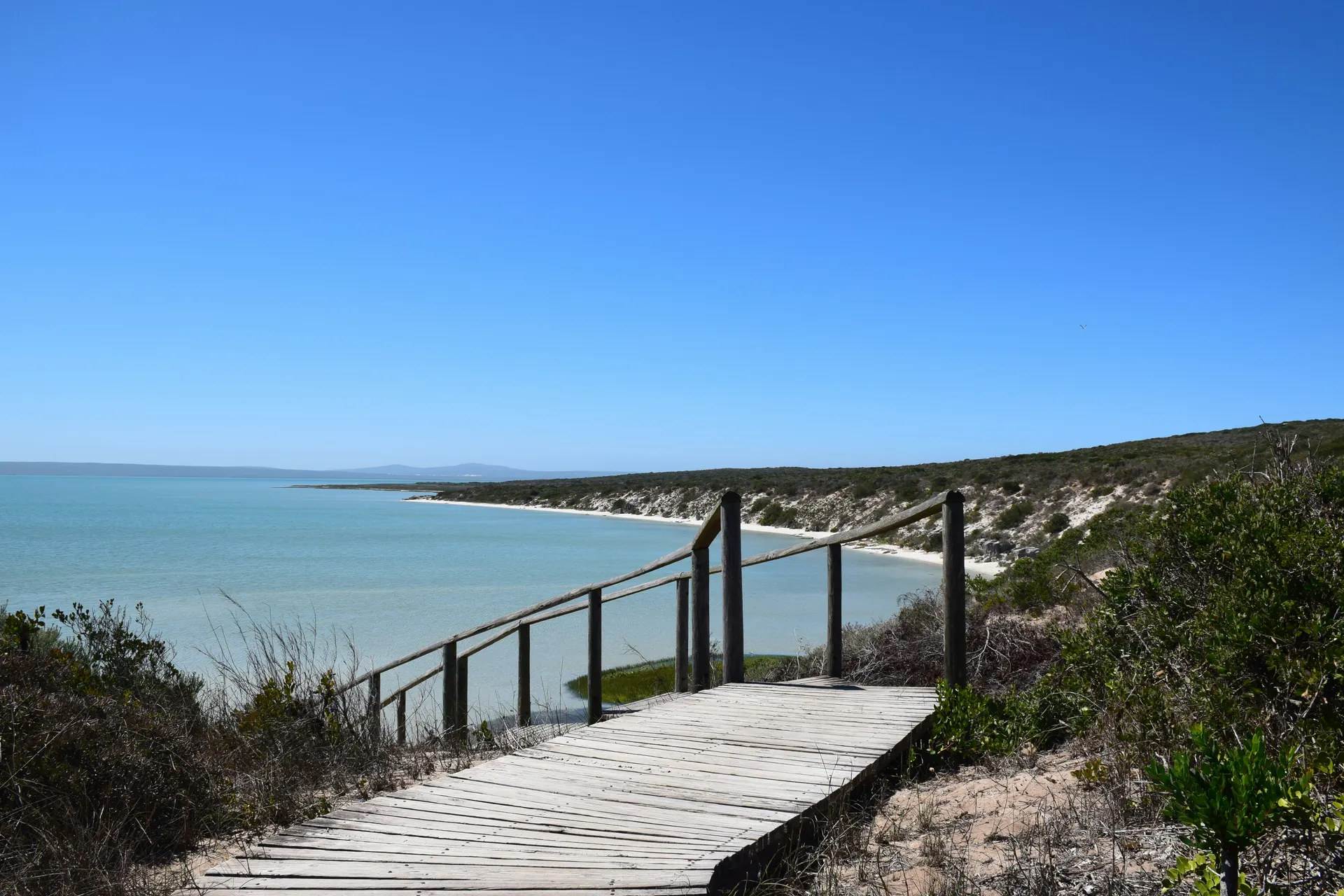 &Olives-Zuid-afrika-Langebaan-West Coast NP