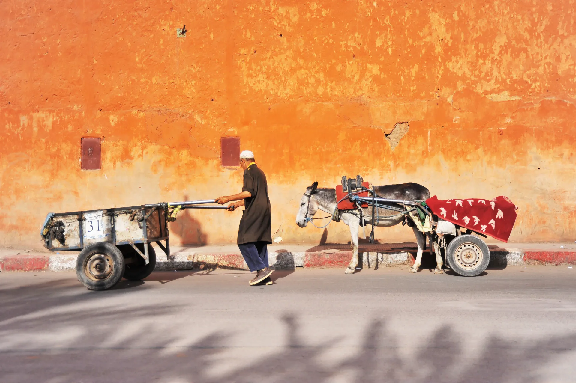 Man met kar en enzel met kar voor oranje muur, Marrakech, Marokko