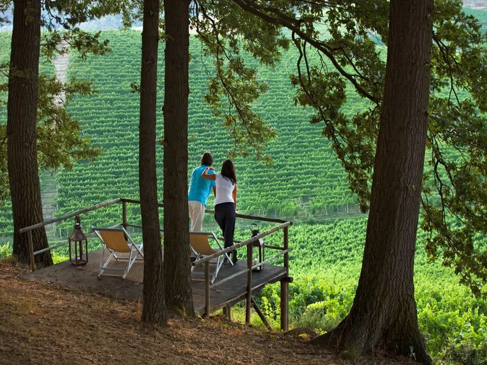 L'Ostelliere Villa Sparina - terras