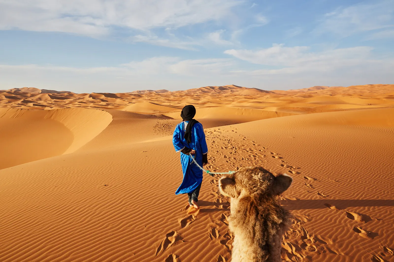 &Olives Morocco Tuareg cameleer nomads leading a camel caravan in the Sahara Desert
