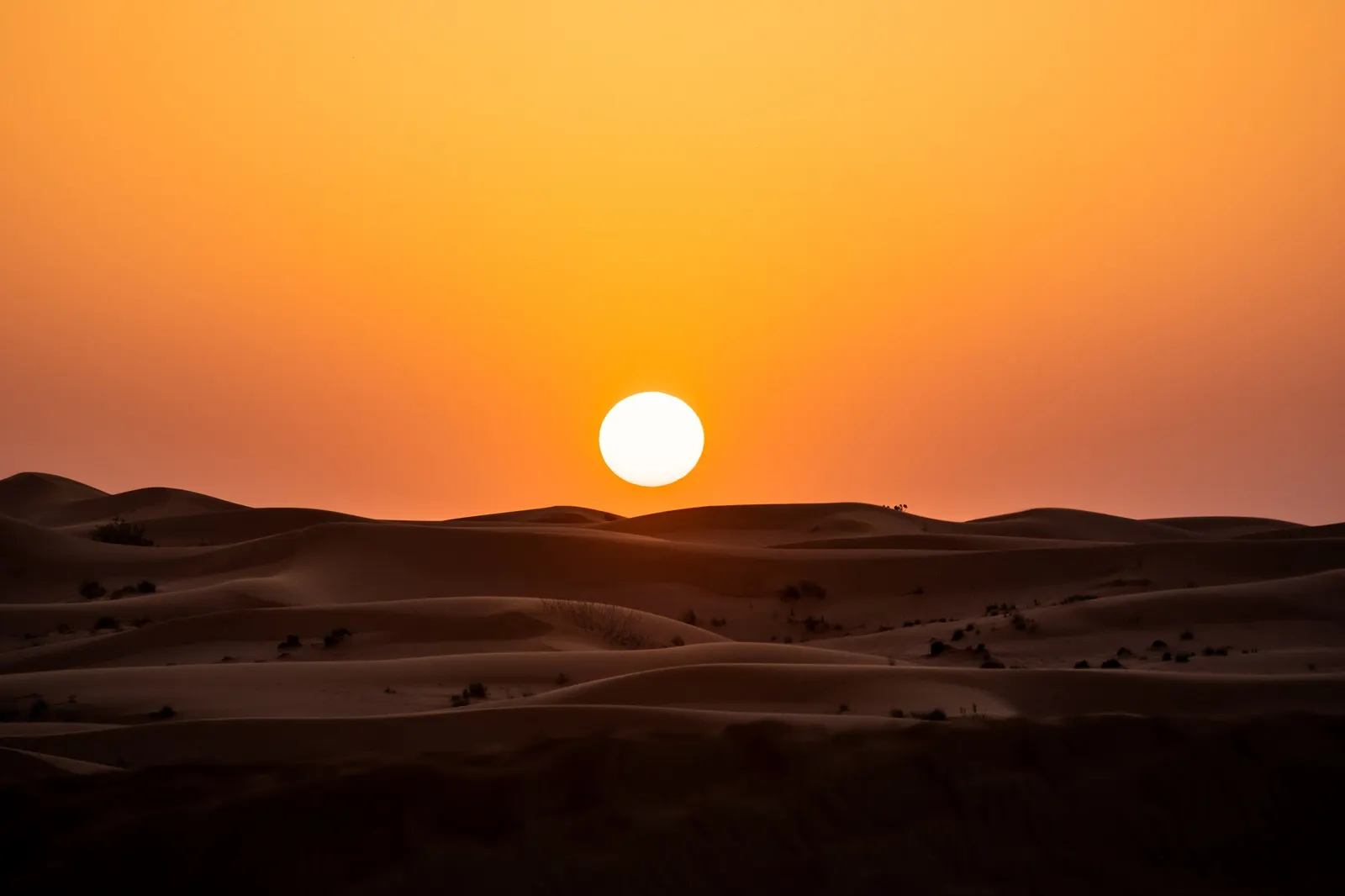 Sunset in United Arab Emirates, UAE