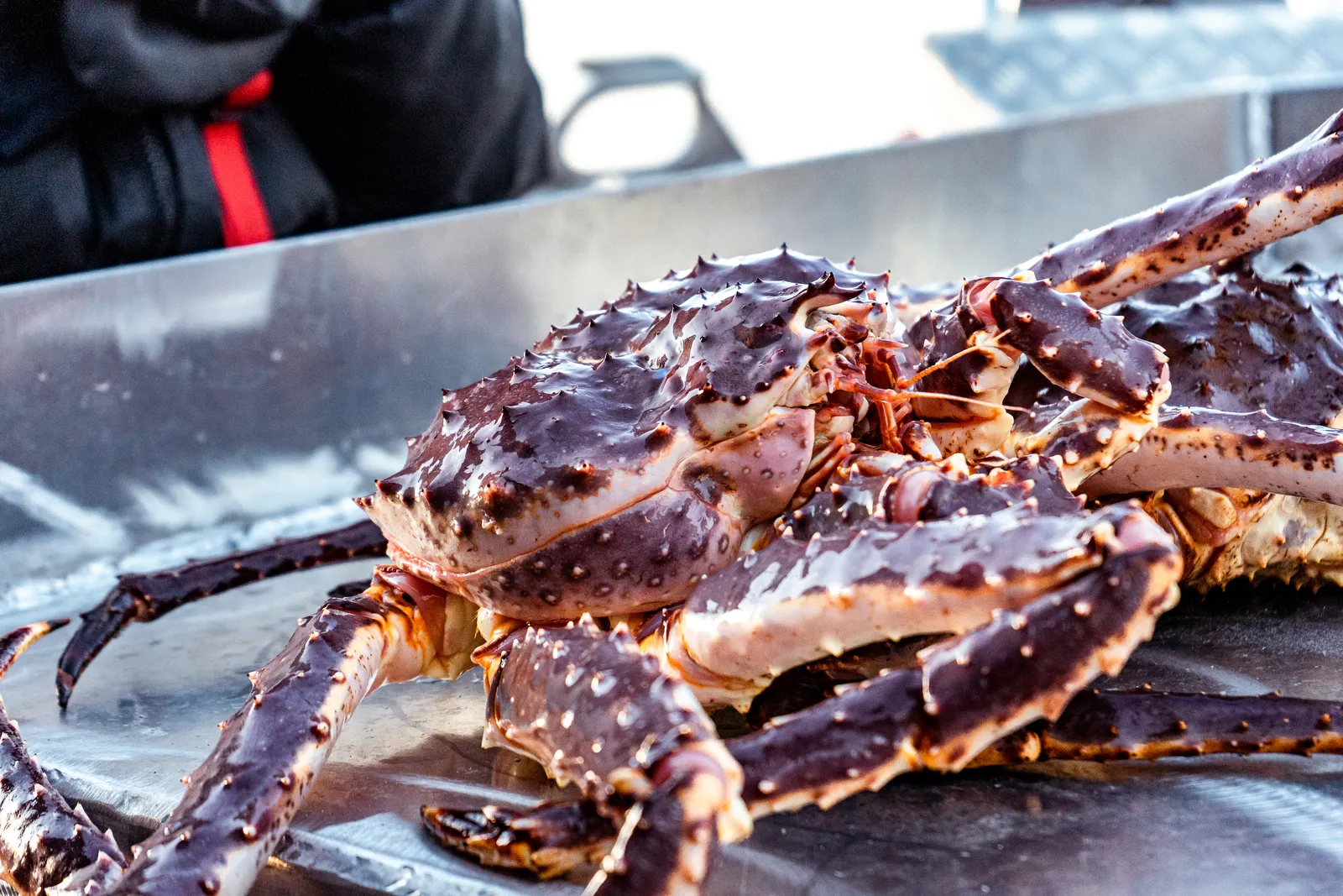 &Olives-Noorwegen-Sorrisniva-Crab fish