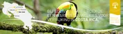&Olives Travel Costa Rica banner