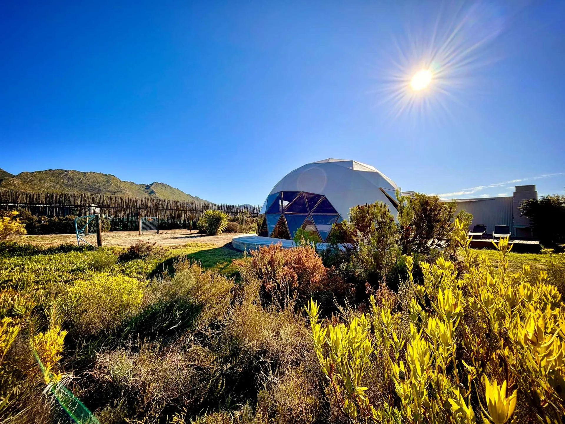 &Olives Travel-Zuid-Afrika-Route62-Starry Starry Night-Gaia Star dome-outside